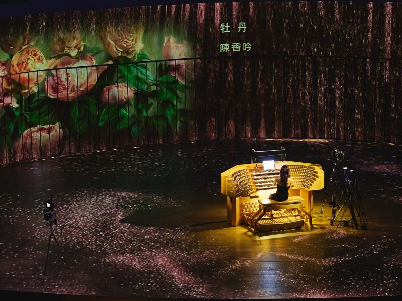 余曉怡《島影琴深II》融合科技與藝術　勇奪國際15項大獎